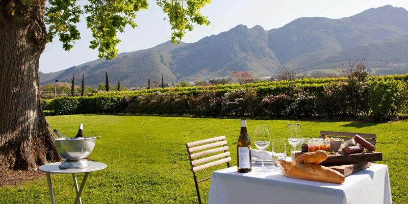 Full-Day Franschhoek Wine Tour From Cape Town - Customer Reviews
