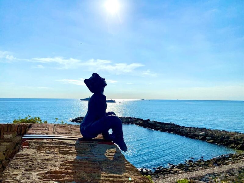 Full Day French Riviera Panorama Tour - Itinerary and Highlights