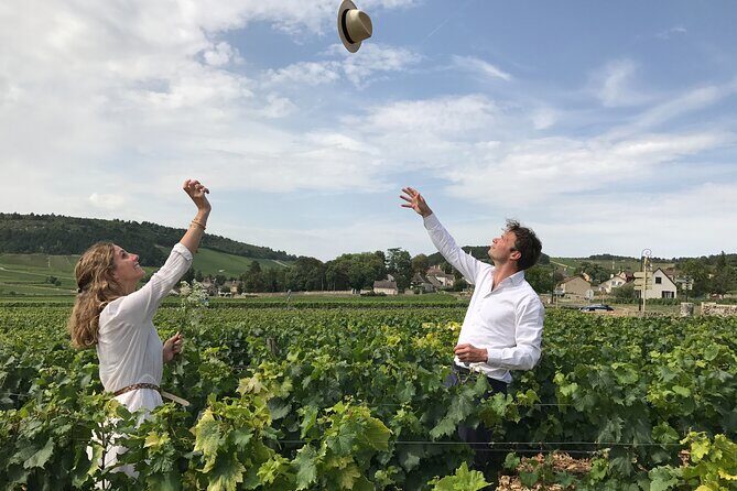 Full day from Dijon: the most of Burgundy with lunch - A Full-Day Burgundy Wine Experience from Dijon – What You Need to Know