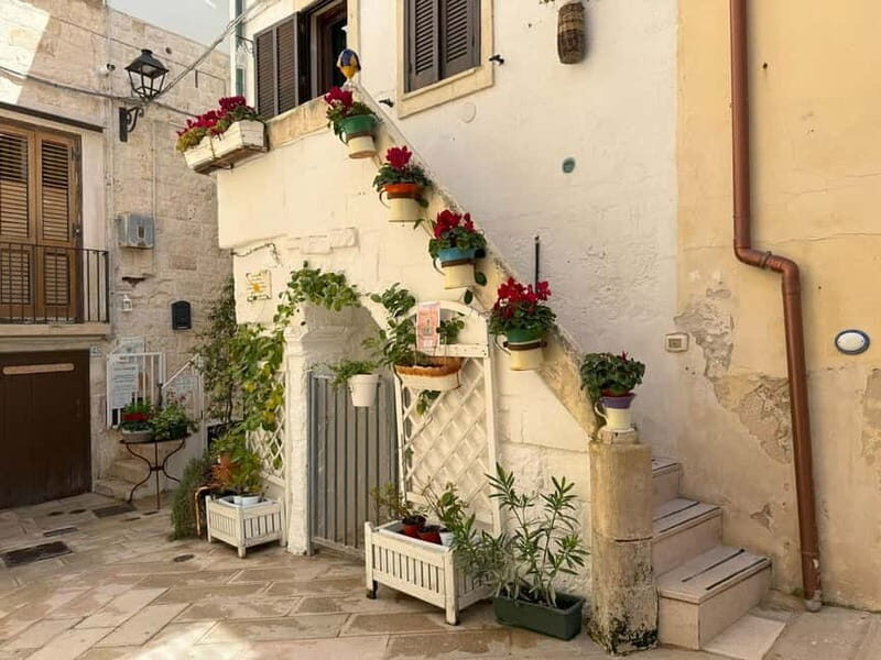 Full Day: From Matera to Alberobello, Polignano, and Bari - Authentic Experiences and Reviewer Insights