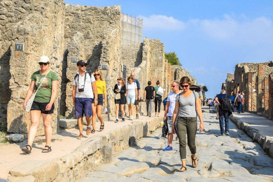 Full-Day From Naples: Pompeii and Vesuvius With Pizza Lunch - Hiking Mount Vesuvius