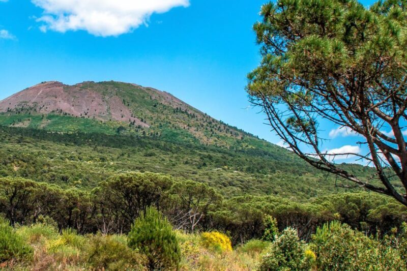 Full-day from Naples: Pompeii & Vesuvius with Italian Lunch - Who Will Love This Tour?