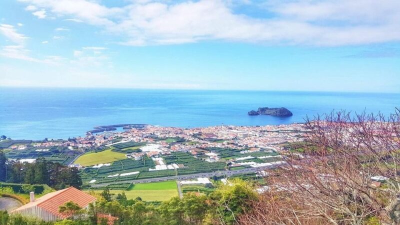 Full day Furnas | Hotsprings | Thermal Baths | Tea Factory - Transportation and Group Size
