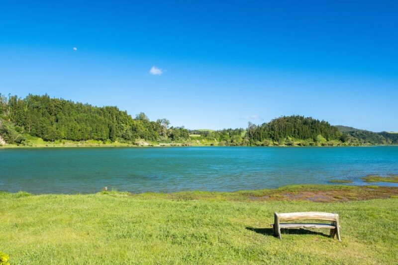 Full Day: Furnas, Tea Plantations & More With Lunch - Who Will Love This Tour?
