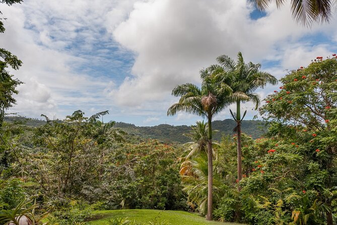 Full Day Garden Delight Private Tour in Barbados - Inclusions