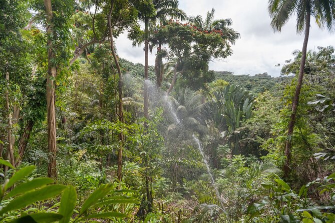 Full Day Garden Delight Private Tour in Barbados - Meeting and Pickup