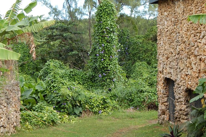 Full Day Garden Delight Private Tour in Barbados - Tour Details