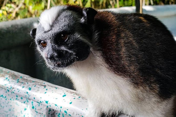 Full-Day Gatun Lake and Indian Village Tour From Panama City - Inclusions and Logistics