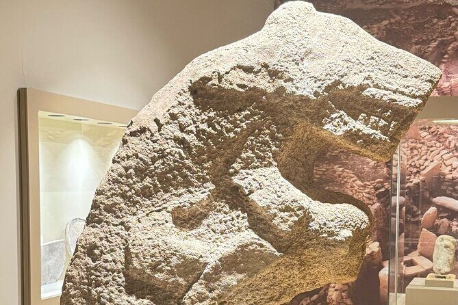 Full Day Gobeklitepe and Karahantepe tour from Istanbul by Flight - The Sum Up