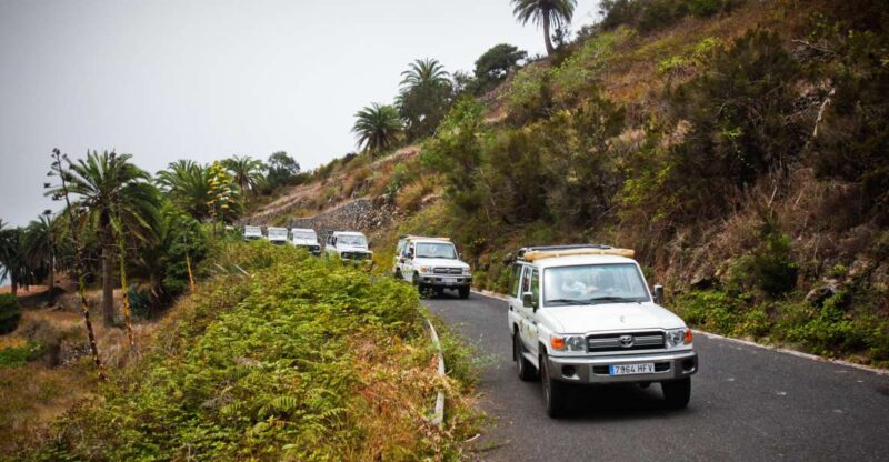 Full-Day Gomera Jeep Safari Excursion From Arona - Key Points