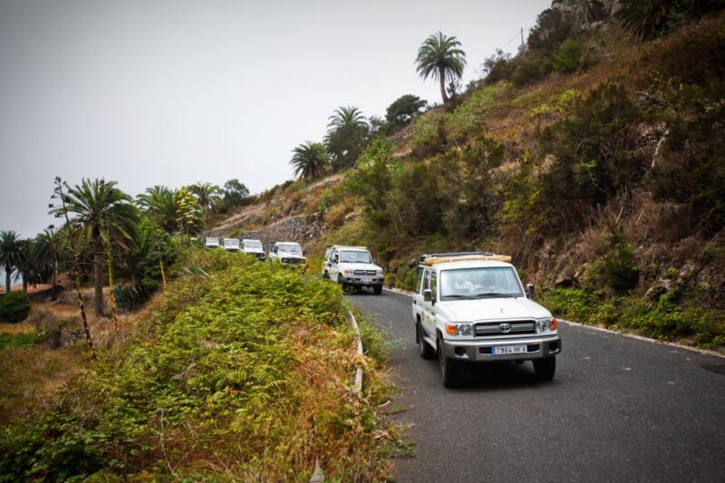 Full-Day Gomera Jeep Safari Excursion From Arona - Highlights of the Experience