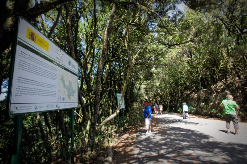 Full-Day Gomera Jeep Safari Excursion From Arona - Inclusions and Participants