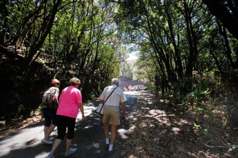 Full-Day Gomera Jeep Safari Excursion From Arona - Pickup Details