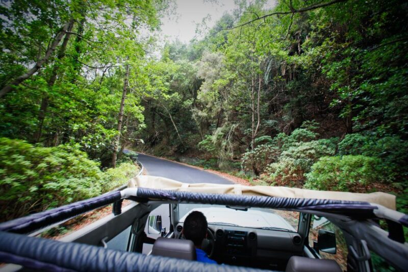 Full-Day Gomera Jeep Safari Excursion From Arona - Picturesque Villages and Local Cuisine