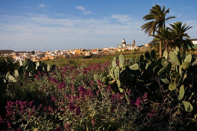 Full-Day Gran Canaria Island Tour - Cumbres - Tips for Travelers