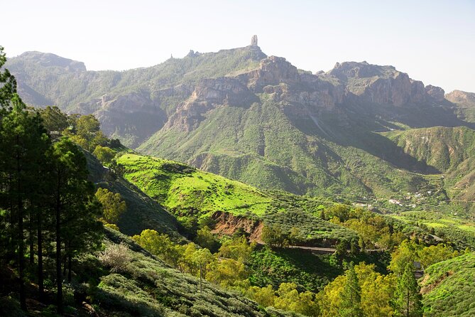 Full-Day Gran Canaria Tour With Teror, Tejeda and Lunch in Fataga - Additional Information