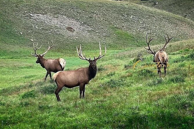 Full Day "Grand Tour" Private Chauffeured Customized Experience - Introducing the Full Day "Grand Tour" Experience