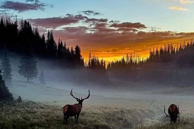 Full Day "Grand Tour" Private Chauffeured Customized Experience - Practical Tips for Travelers