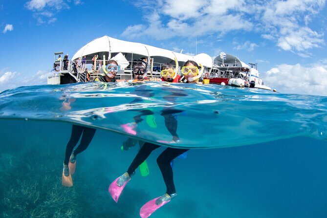 Full-Day Great Barrier Reef Pontoon with Snorkeling & Activities - Getting There and Setting Off