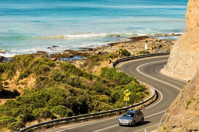Full-Day Great Ocean Road and 12 Apostles Sunset Tour from Melbourne - Who Should Consider This Tour?