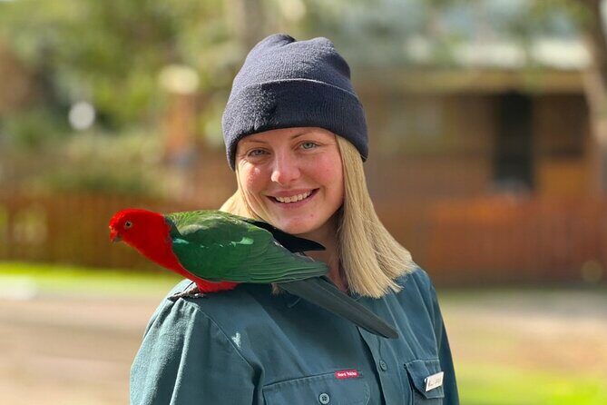 Full-Day Great Ocean Road and 12 Apostles Sunset Tour from Melbourne - FAQ