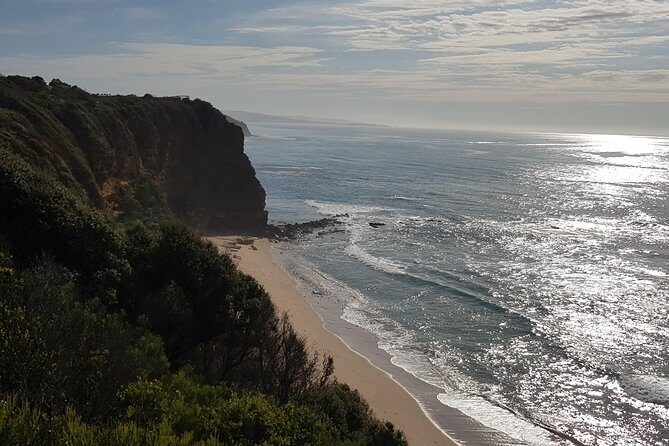 Full-Day Great Ocean Road Tour from Melbourne - A Practical Look at the Tour Experience