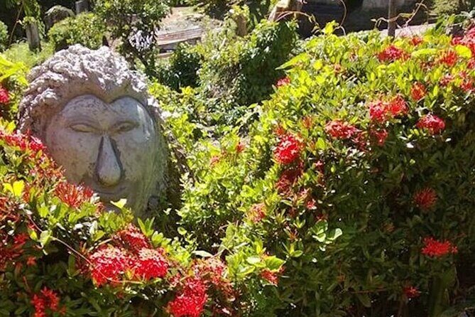 Full Day Group Tour in Tobago Atlantic Coast - Who Is This Tour Best For?