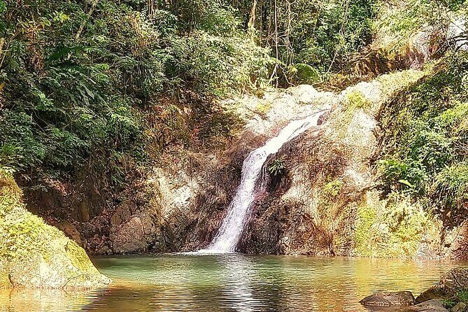 Full Day Group Tour in Tobago Atlantic Coast - FAQs