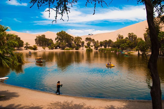 Full Day Group Tour Paracas and Ica From Lima - Dune Buggy Adventure