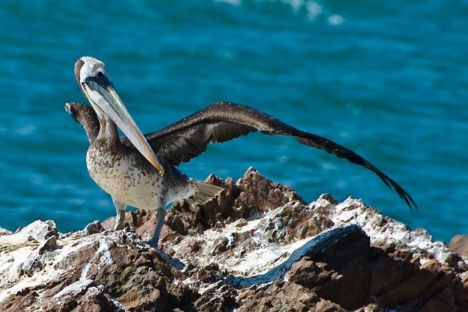 Full Day Group Tour Paracas and Ica From Lima - Questions About Your Stay