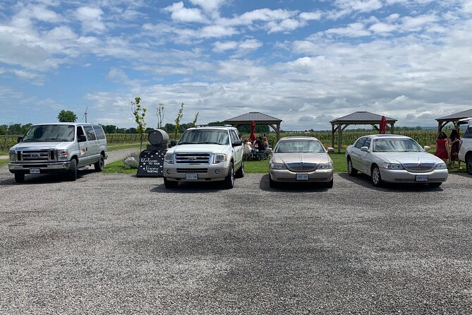 Full-Day Group Wine Tour (With Cheese and Charcuterie) in Niagara-On-The-Lake - Guest Reviews and Feedback