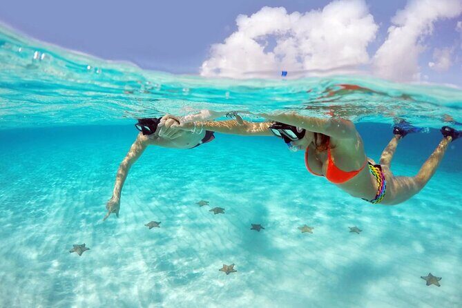 Full Day Guided Experience to El Cielo at Cozumel - Exploring the Full-Day Cozumel Marine Adventure