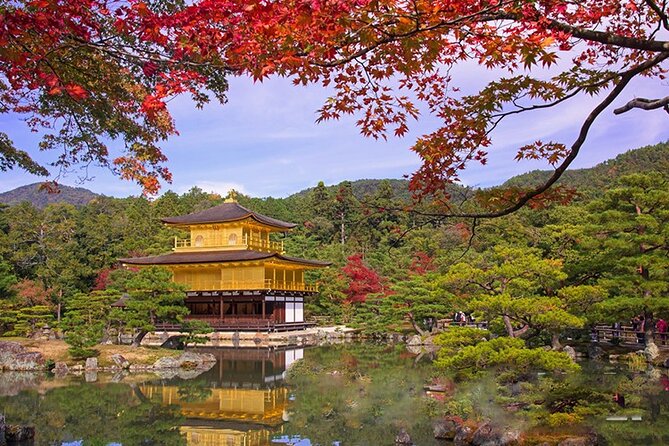 Full Day Guided Kyoto Cultural Tour - Good To Know