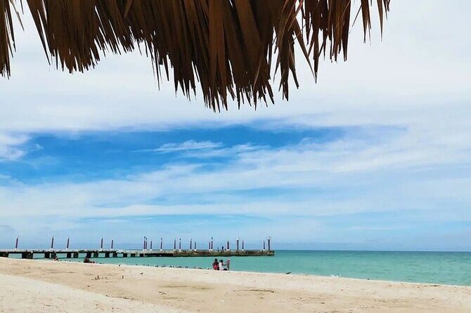 Full Day Guided Mangrove Bote Ride & Sisal Beach Time - Final Thoughts