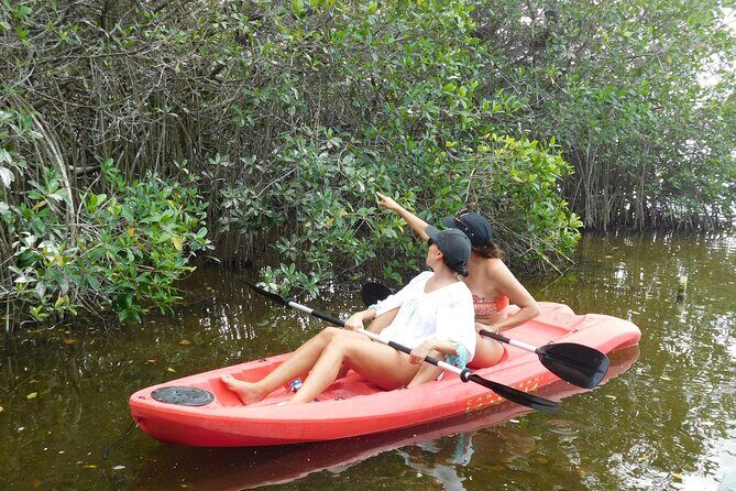 Full Day Guided Mangrove Bote Ride & Sisal Beach Time - FAQ