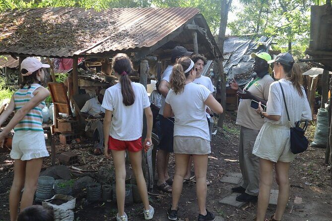 Full-Day Guided Sightseeing Cultural Tour of Mombasa from Diani. - Who Will Love This Tour?