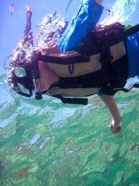 Full-Day Guided Snorkeling Tour from Kota Kinabalu - Practical Tips for a Smooth Day
