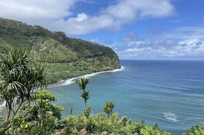 Full Day Guided Tour in Hana - Price and Value