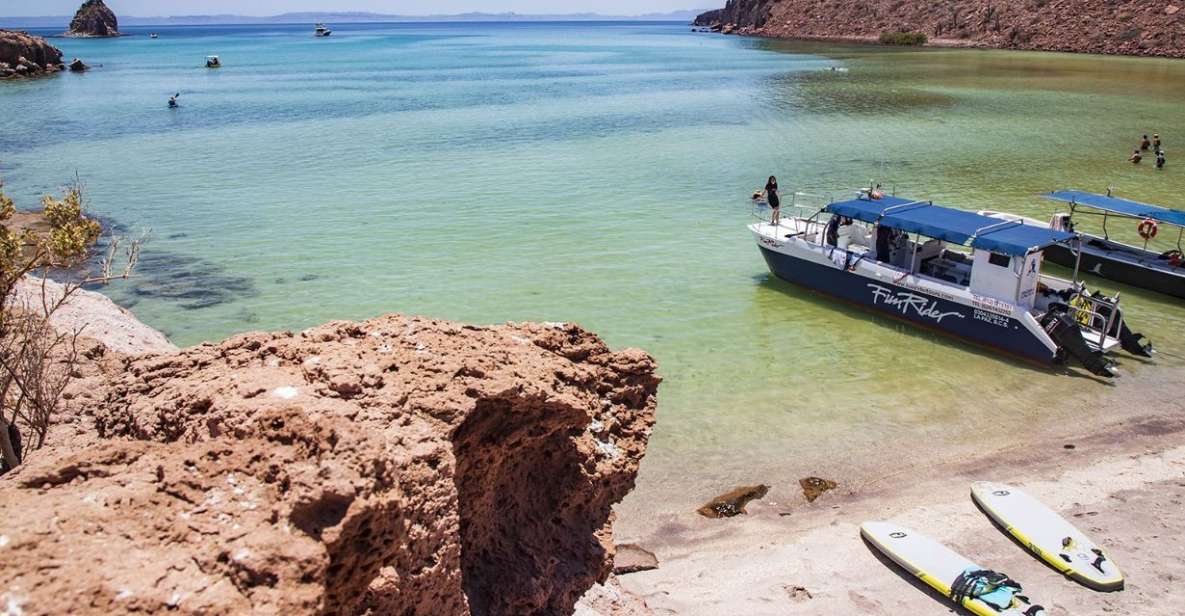 Full-day Guided Tour of Espíritu Santo Island & Sea Lions - Key Points