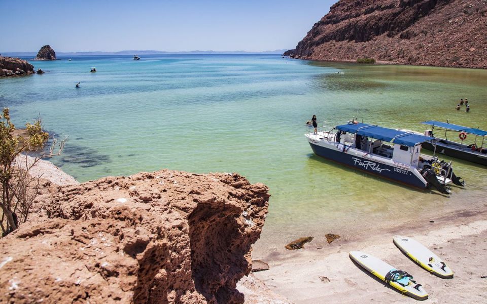 Full-day Guided Tour of Espíritu Santo Island & Sea Lions - Highlights