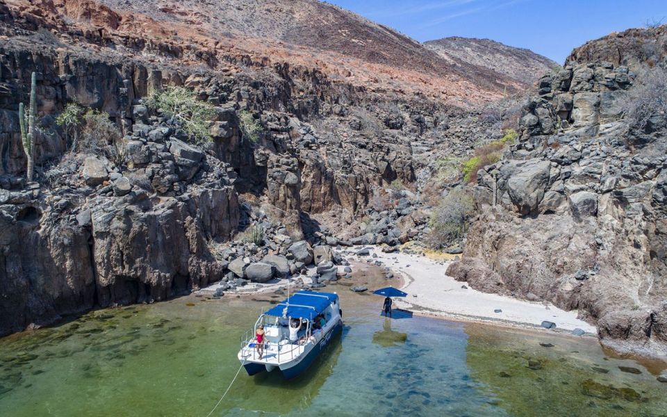 Full-day Guided Tour of Espíritu Santo Island & Sea Lions - Included Amenities