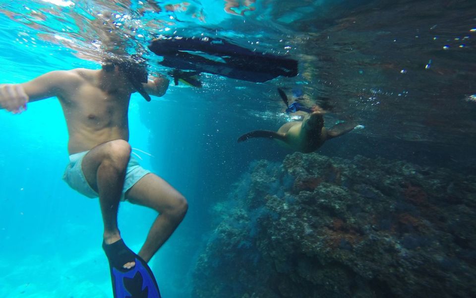 Full-day Guided Tour of Espíritu Santo Island & Sea Lions - Transportation Considerations