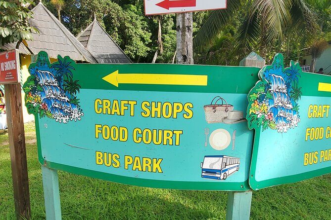 Full-Day Guided Tour to Dunns River Falls & shopping with lunch - Who Will Love This Tour?