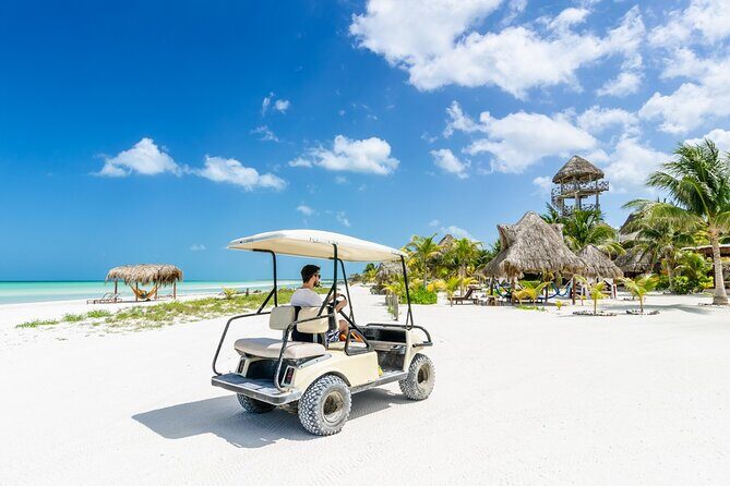 Full-Day Guided Tour to Isla Holbox from Cancun - Key Points