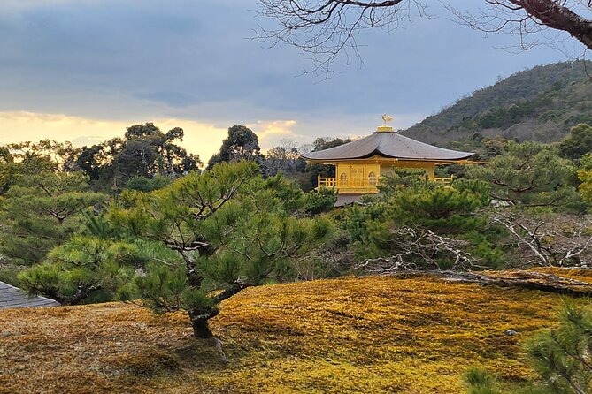 Full Day Guided Tour to Kyoto Arashiyama From Osaka by Van - Booking Information