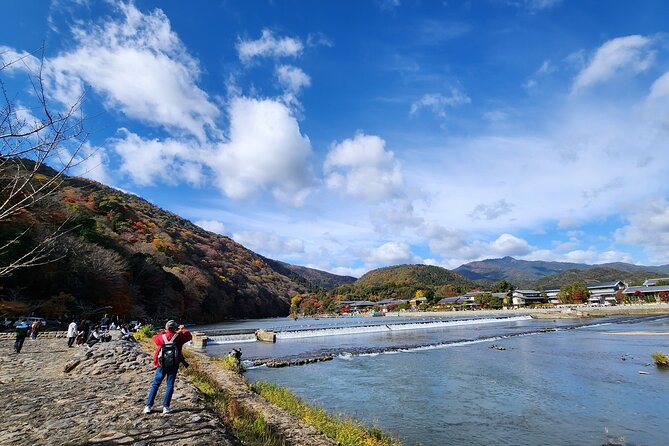Full Day Guided Tour to Kyoto Arashiyama From Osaka by Van - Highlights of the Tour