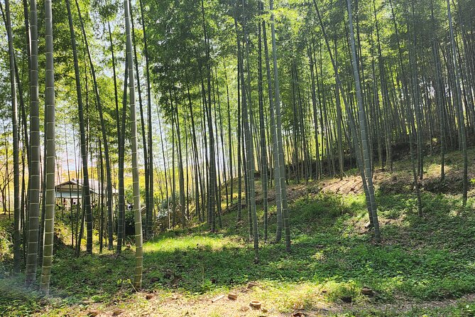 Full Day Guided Tour to Kyoto Arashiyama From Osaka by Van - Exploring the Arashiyama District