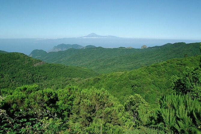 Full Day Guided Tour to La Gomera From Tenerife - Guest Experiences and Feedback