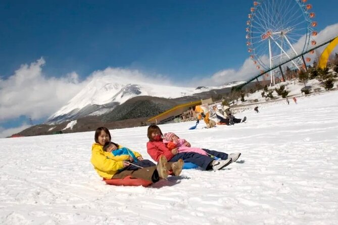 Full Day Guided Trip to Mt. Fuji and Hakone From Tokyo - Voucher Validity