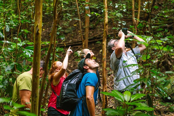 Full-Day Hakalau Forest Reserve Bird Watching Adventure - Ecosystem Exploration
